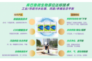 什么是氨氮激活菌，有什么作用